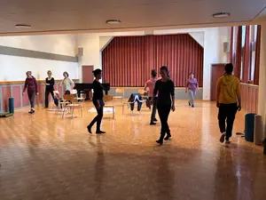 Pink elastisch grau verfilzt 2024